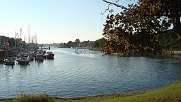 水,河,葉子