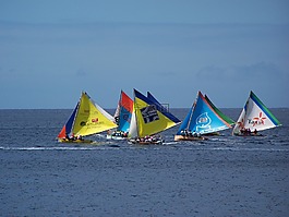 帆船賽,瓜德羅普島,小船