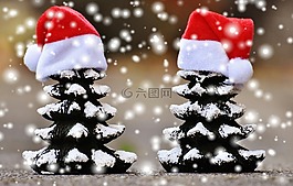 圣誕節(jié),冷杉,雪