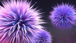 毛茸茸的,粉扑,泡芙球