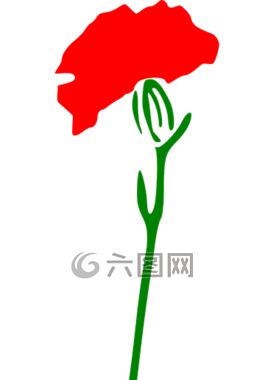 康乃馨,花,自然