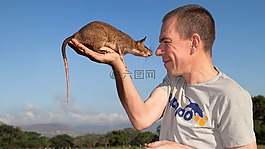 性質(zhì),單,男性