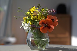 花瓶,花卉,3月8日
