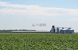 字段,土豆,電梯