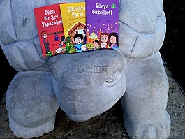 書籍,龜,本書