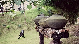 陶罐,壇子,老