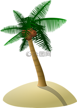 椰子樹,棕櫚樹,沙丘