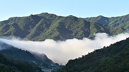mistweaver,大自然,蟾津