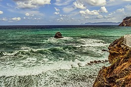 海,海灘,野生