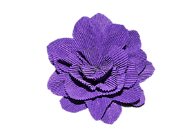 花,紫色,紫色花