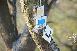 線索,方向,跡象