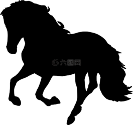馬,側(cè)影,動物