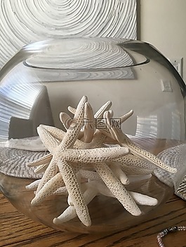 海星,海滩,装潢