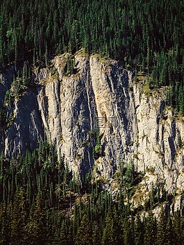 加拿大,山,懸崖