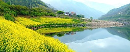 景觀,蟾津,與花
