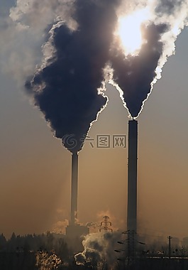 煙,生態(tài)學(xué),環(huán)境
