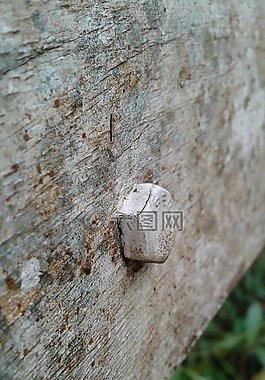 螺釘,木材,釘