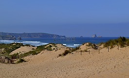 沙,海灘,人體內(nèi)的水