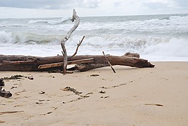 海洋,波,海灘