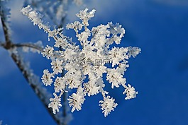 藍藍的天空,霜,藍色