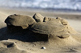 海,海灘,砂