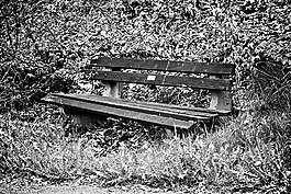 性質(zhì),德國,公園長椅