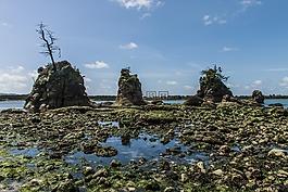 tidepools,俄勒冈,太平洋