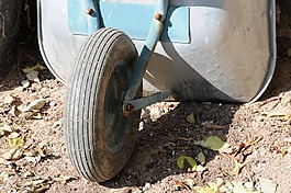 独轮车,成熟,轮