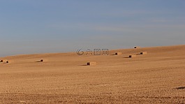 西班牙,meseta,干草