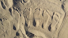 砂,海灘,腳