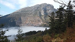 山,霧,景觀