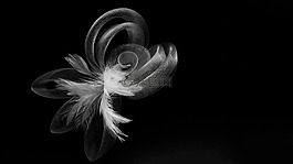 頭帶,花,黑色和白色