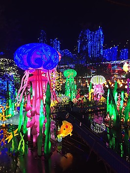 燈會,夜景,自貢
