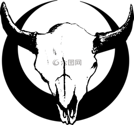 骨骼,公牛,牛