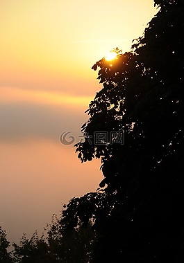 天空,背光,橙
