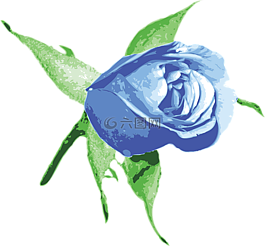 芽,花的,花