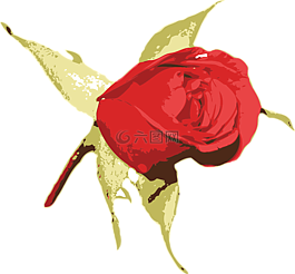 花的,花,自然