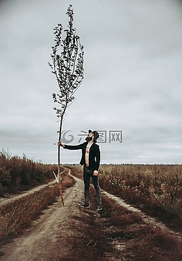 樹,羅姆,男子