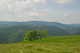 景觀,自然,旅行