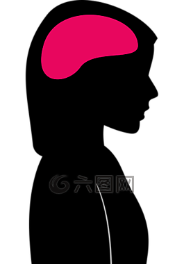 腦,女性,頭