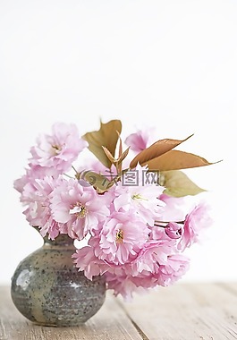粉紅色,鮮花,花瓶
