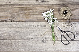 木材,花,紗