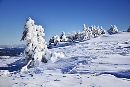 阿爾卑斯山,白色的景觀,冬天