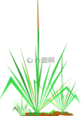 草,池,植物