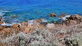 海,濱,海灘