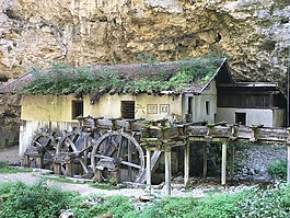 磨,森林,老