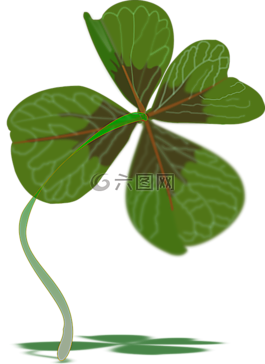 三葉草,植物,運(yùn)氣