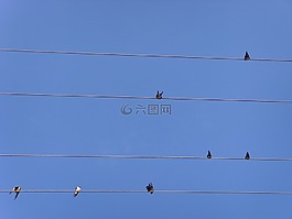 天空,五線譜,器