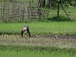 工作,任勞任怨,字段