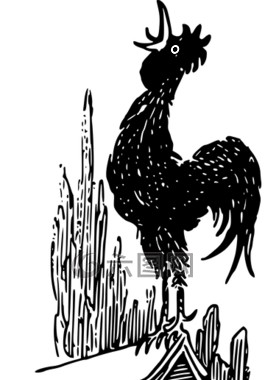 動物,鳥,黑